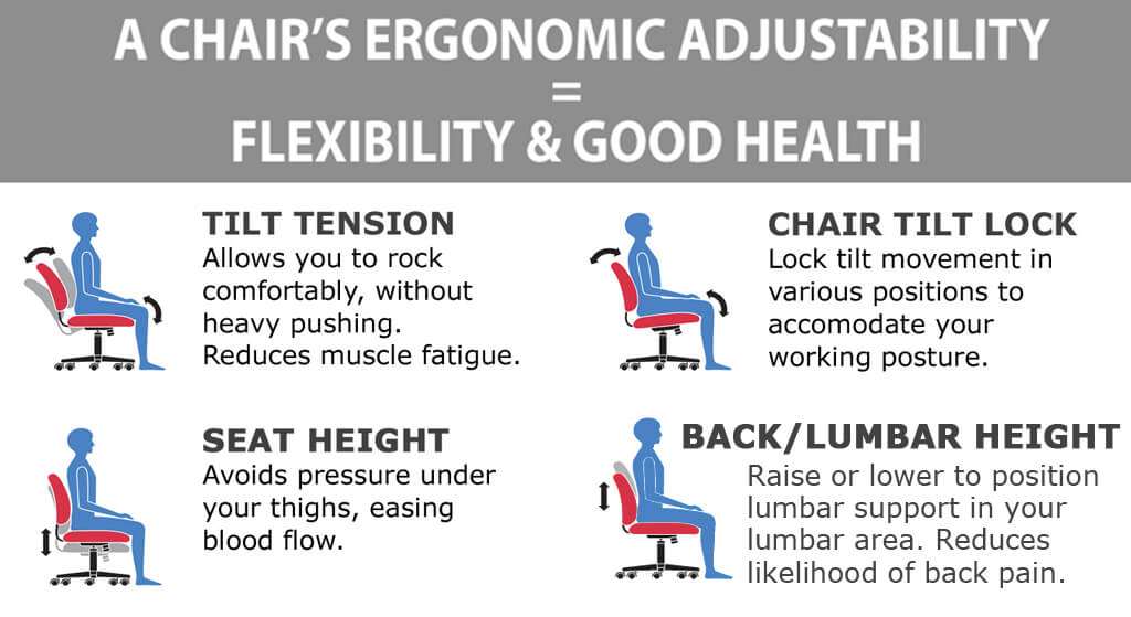 https://www.cubicles.com/shop/images/lumbar-support-office-chair-ergonomics.jpg