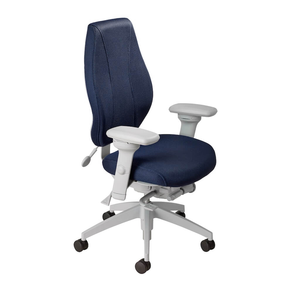 office-furniture-chairs-office-desk-chairs-high-back-office-chair-ergonomic-light-gray-frame-and-navy-fabric-angle-view.jpg